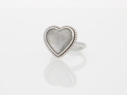 Muonionalusta Meteorite Heart Ring